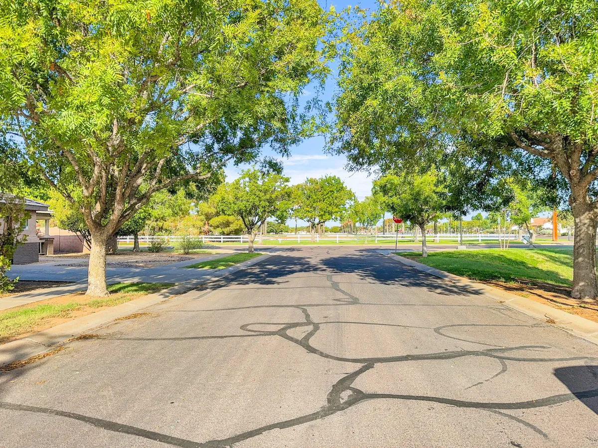 A wide exterior shot showing a peaceful road lined with mature trees and an open field in the background. The scene is bathed in natural light, inviting walking or biking. The calm atmosphere hints at a community-friendly, walkable environment ideal for exploration.